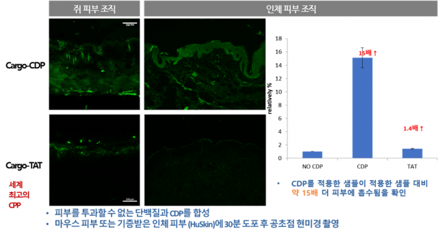 칸젠, 2026 JPM 헬스케어 컨퍼런스 참가… 세계 최고 수준 CDP 전달기술로 혁신신약 정조준