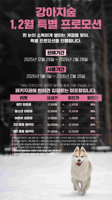 설경 속에서 맞는 특별한 새해… 강아지숲, 1·2월 특별 프로모션 실시