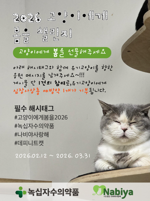 녹십자수의약품, 유기묘 건강권 보호 위한 기부 캠페인 ‘고양이에게 봄을 2026’ 전개