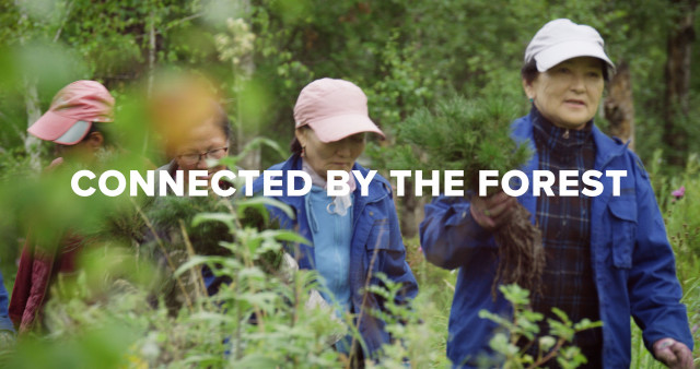International Day of Forests: UNDP partnership connects communities and technology to restore Mongolia’s forests