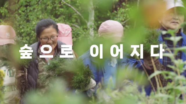 UNDP 서울정책센터, 세계 숲의 날 맞아 몽골 산림 협력 이야기 공개